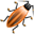 firebug-icon