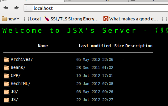 A screenshot of my development server